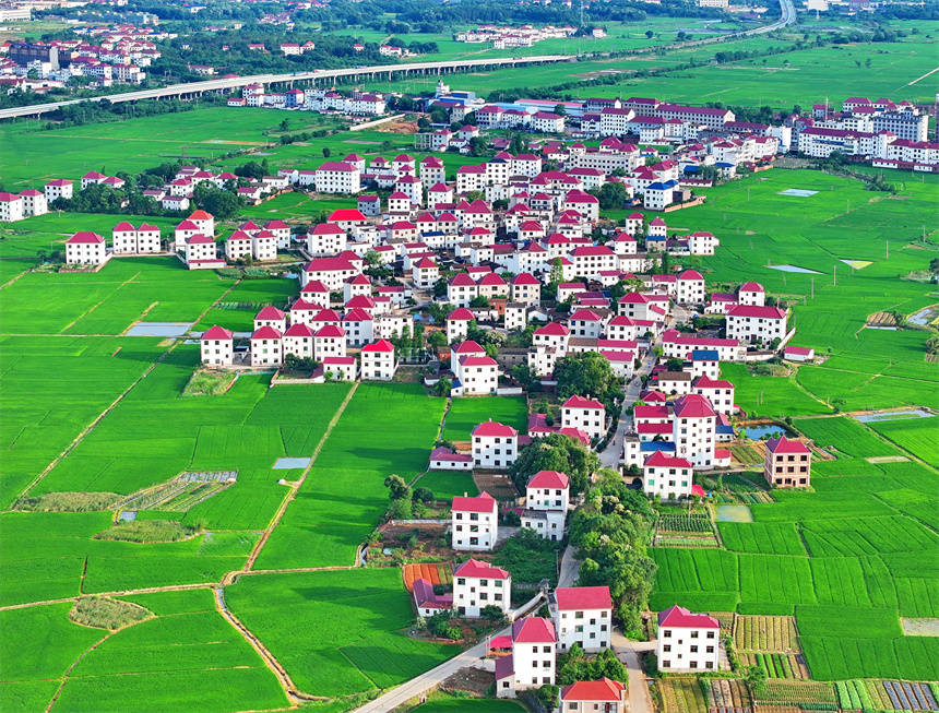 新农村建设背景(新农村建设背景介绍)