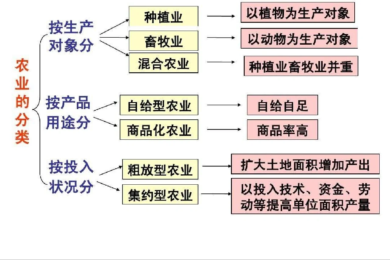 农业种子分类(农业上种子类别有哪些)
