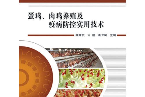 关于肉鸡饲养,蛋鸡规模化养殖,,1.24,2,低,培育词的信息