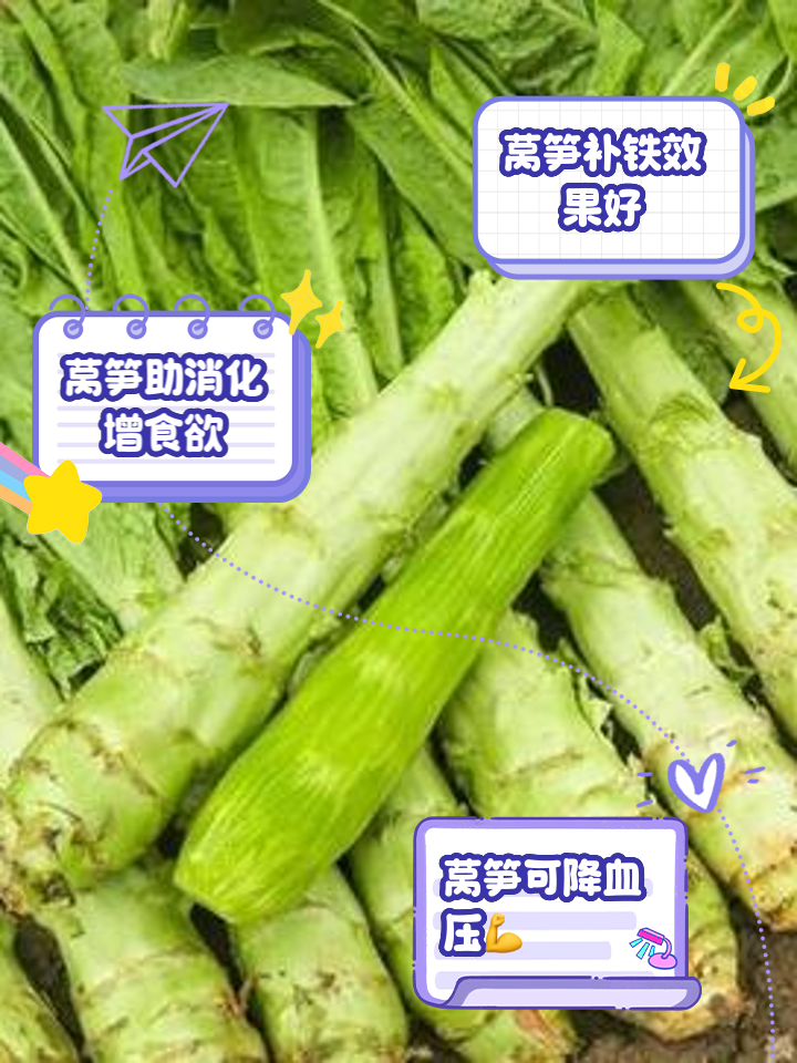 莴笋株行距(莴笋种植株行距离多少?)