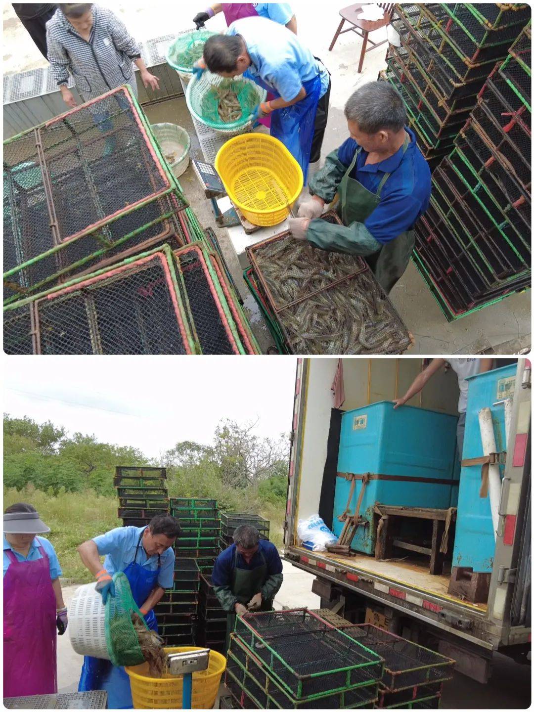 中专水产养殖(水产养殖专业的职业学校)