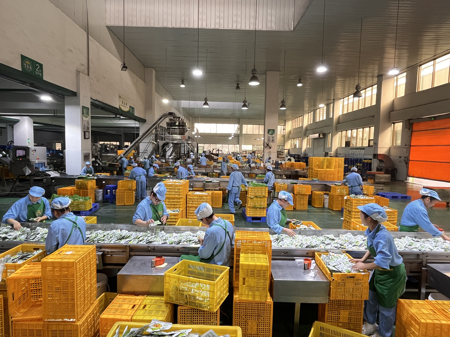 食品生产车间卫生要求(食品生产车间卫生要求标准)