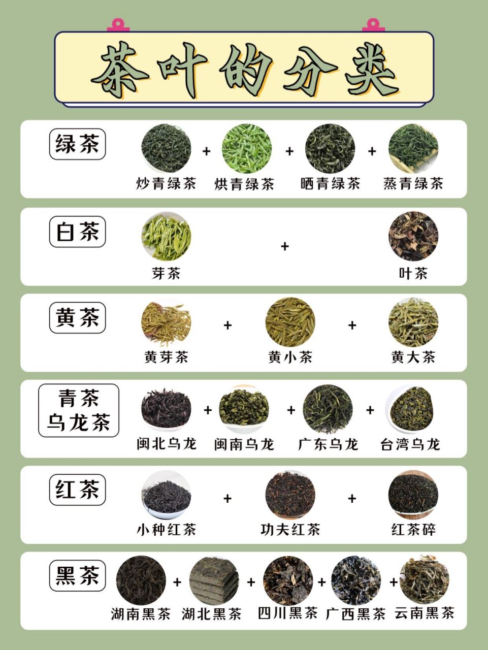 茶的种类主要有哪些(茶的种类主要有哪些特点)