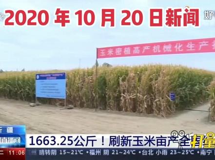 大北农转基因玉米品种审定(大北农转基因玉米品种审定公告)