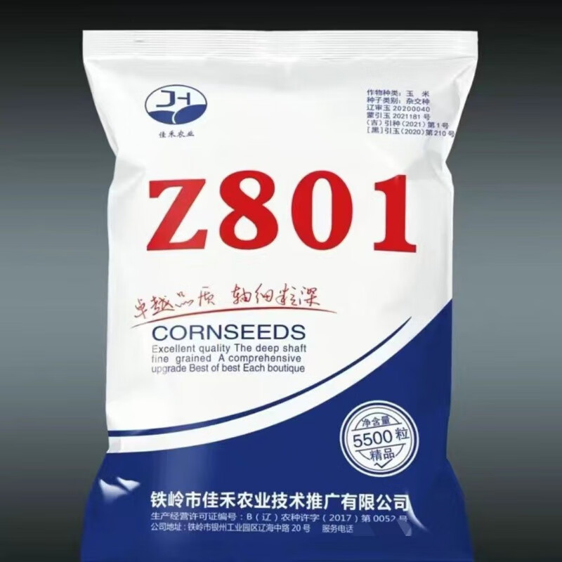 什么玉米种子最抗涝(什么玉米种子抗涝高产)