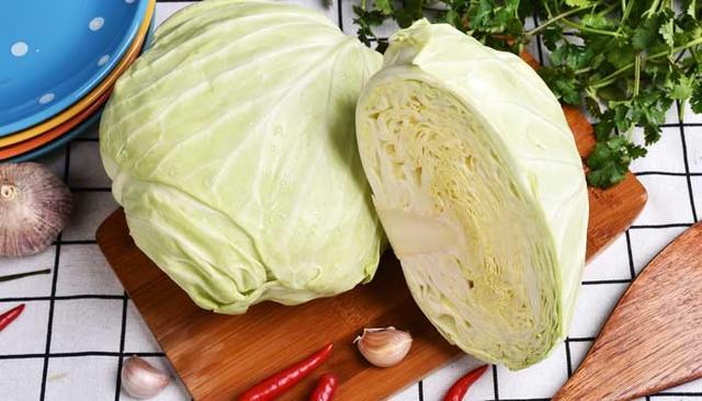甘蓝和包心菜(甘蓝和包心菜是一个菜吗)