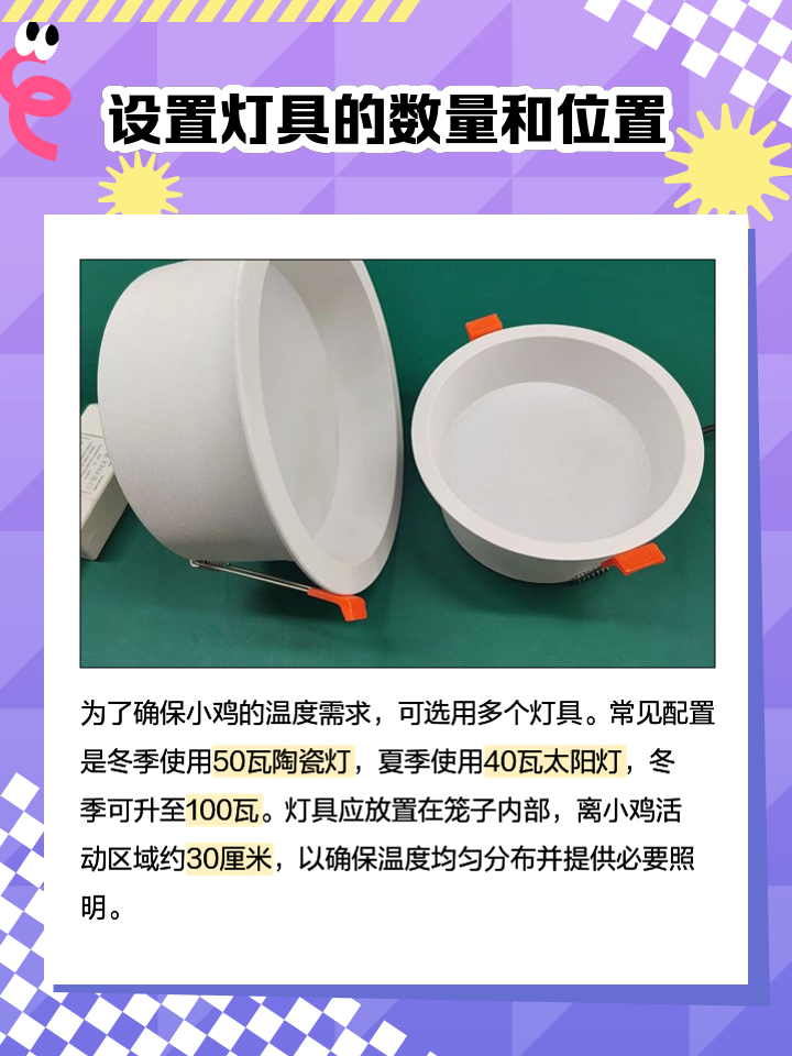 养小鸡如何取暖(养小鸡如何取暖视频)