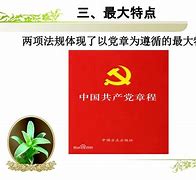 党内法规的特征主要包括(党内法规的特征主要包括什么)