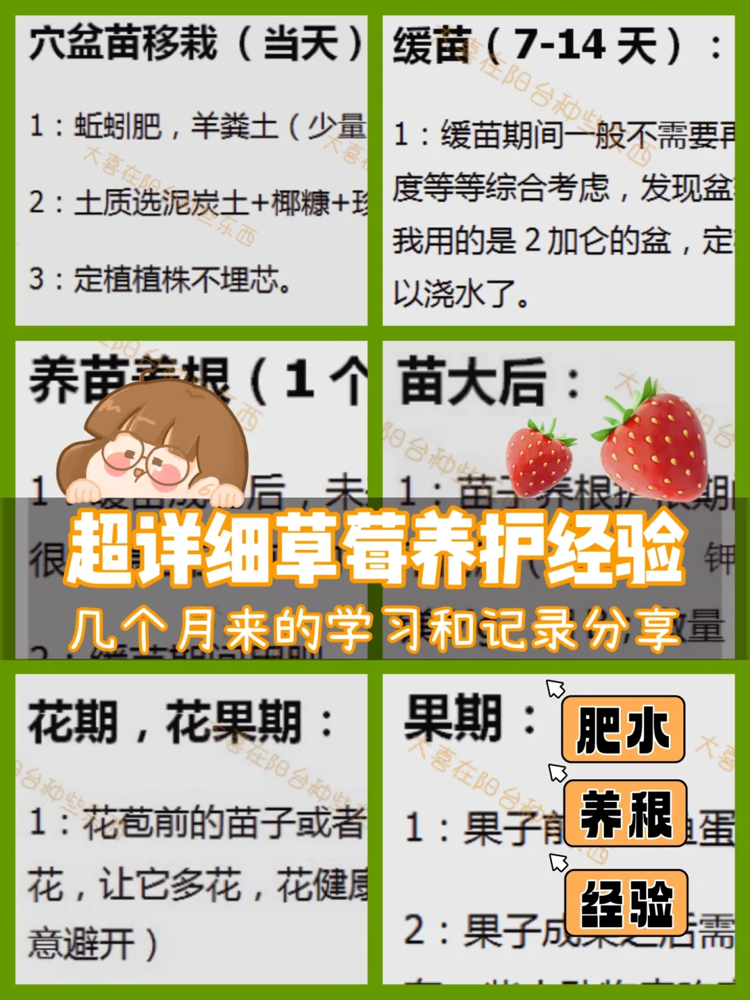 家庭阳台草莓种植方法新手(家庭阳台草莓种植方法和温度)