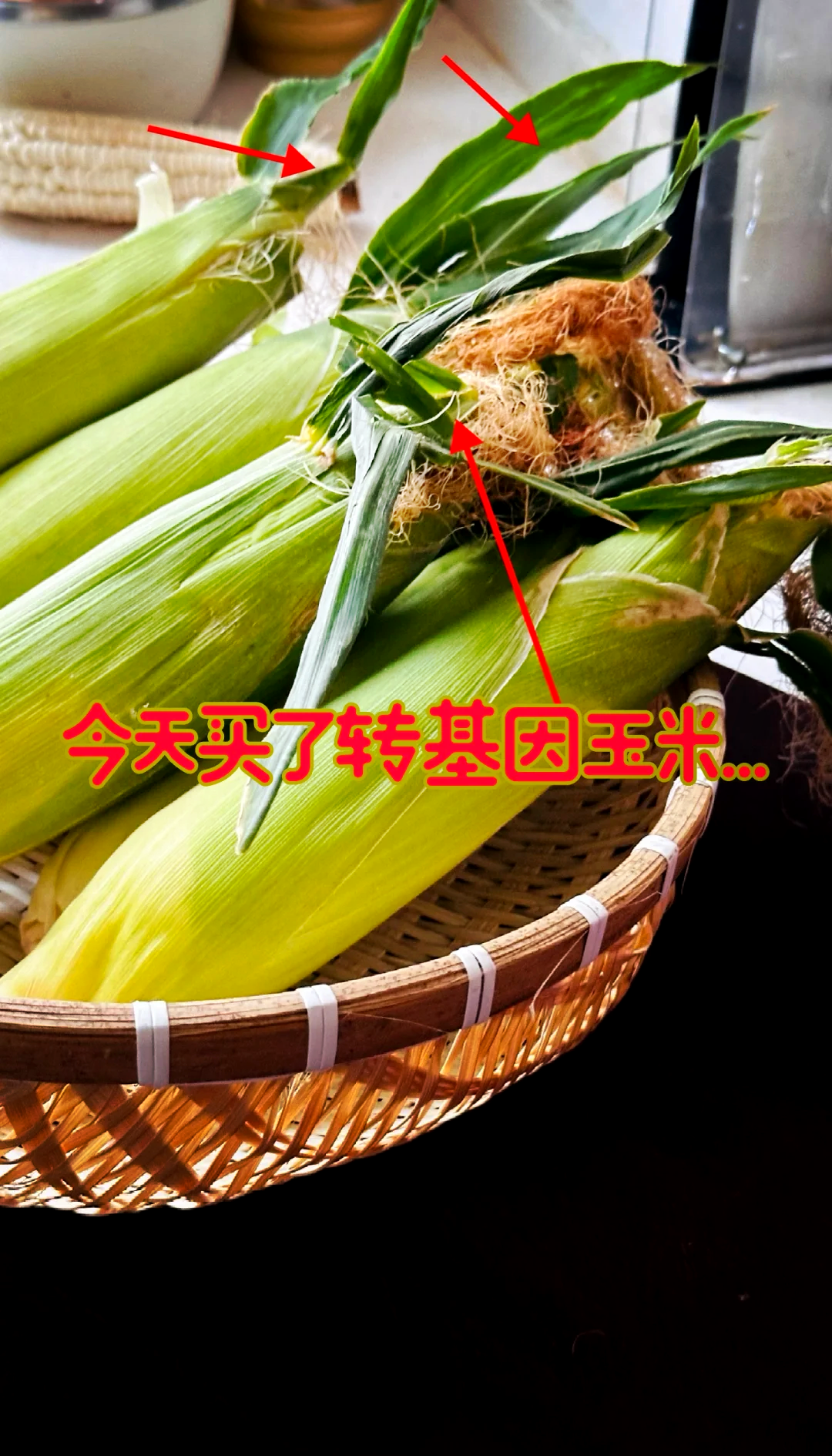 转基因高产玉米种(转基因玉米种子品种)