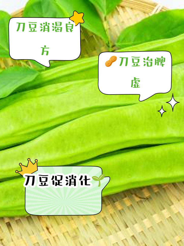 豆角功效是什么(豆角的功效与营养价值)