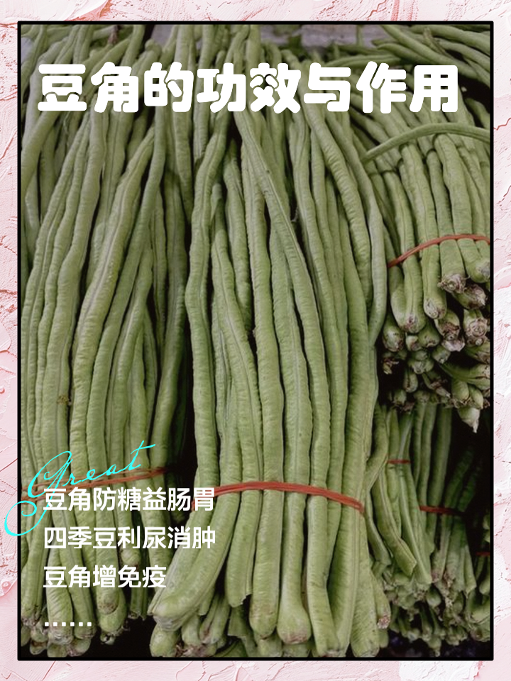 豆角功效是什么(豆角的功效与营养价值)
