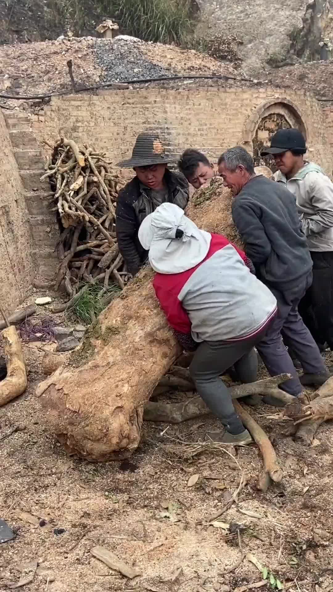 木炭是怎么加工的(木炭怎么加工的视频教程)