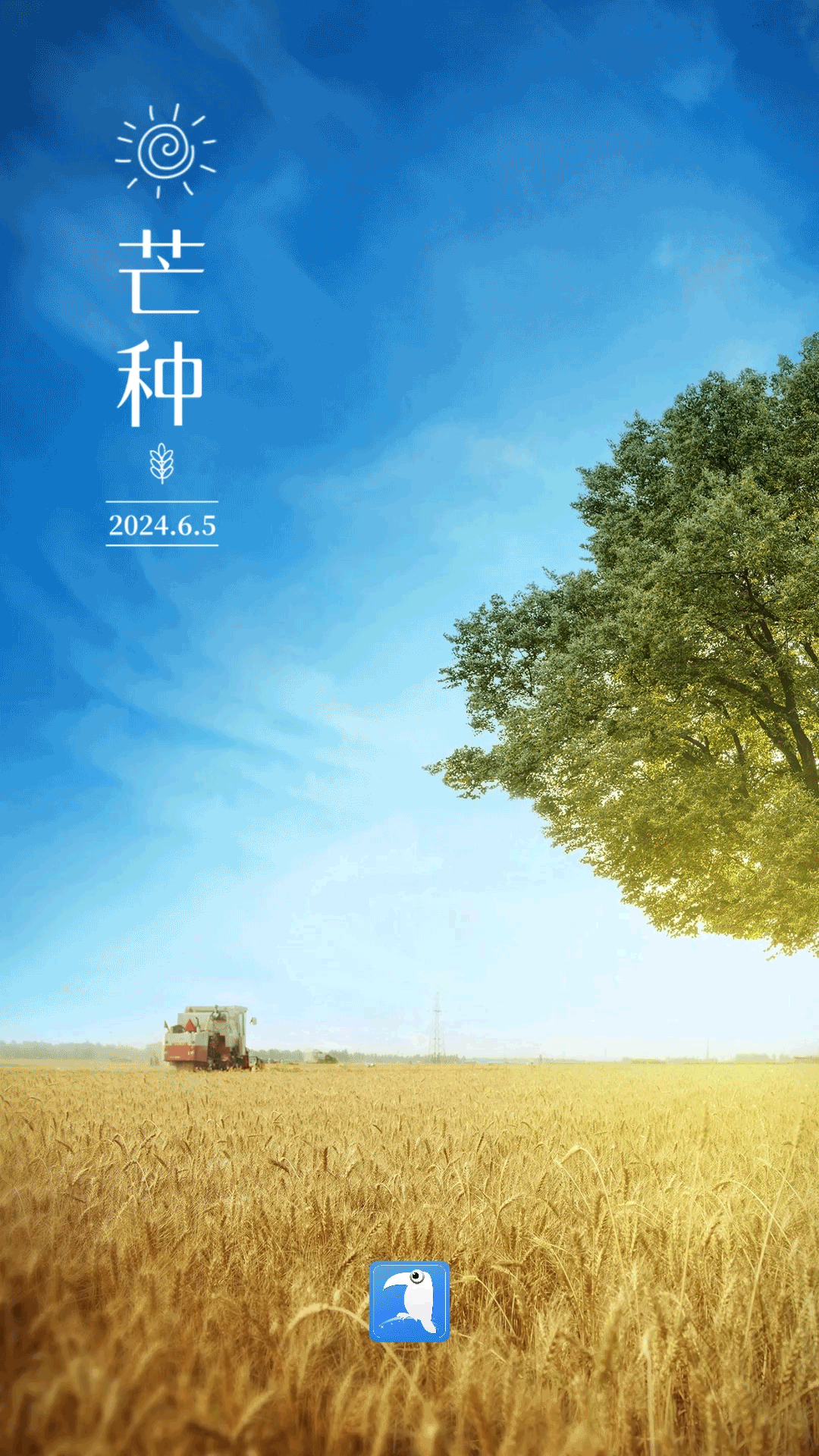 过了芒种还能种玉米吗(过了芒种还能种玉米吗视频)