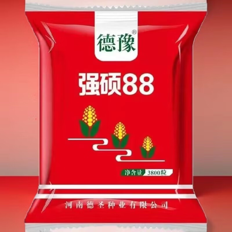 山东夏播玉米种子哪个品种好(2020年山东夏播玉米高产品种)