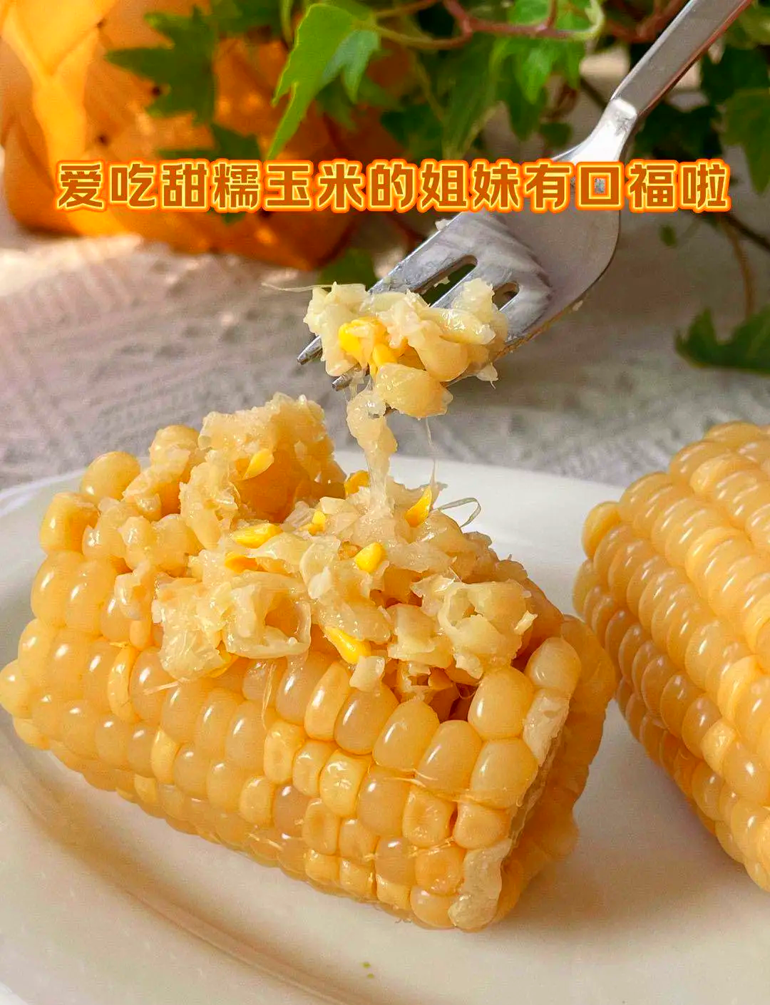 锦甜糯玉米是转基因(甜糯玉米是转基因玉米吗)