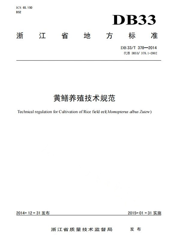 黄鳝高效养殖技术(黄鳝高效养殖技术图解与实例百度网盘)