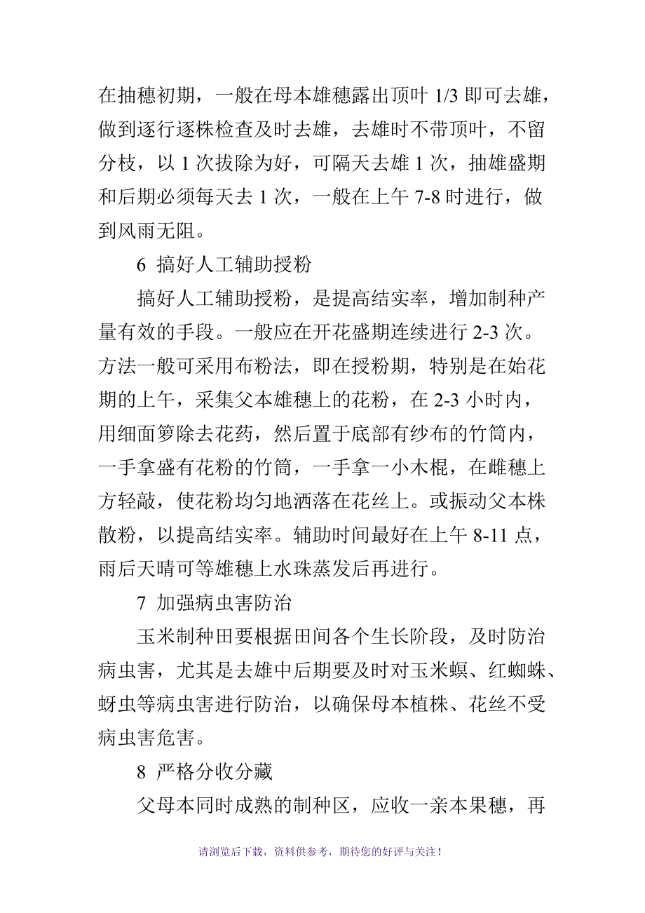 杂交玉米制种技术(杂交玉米制种技术的优缺点)