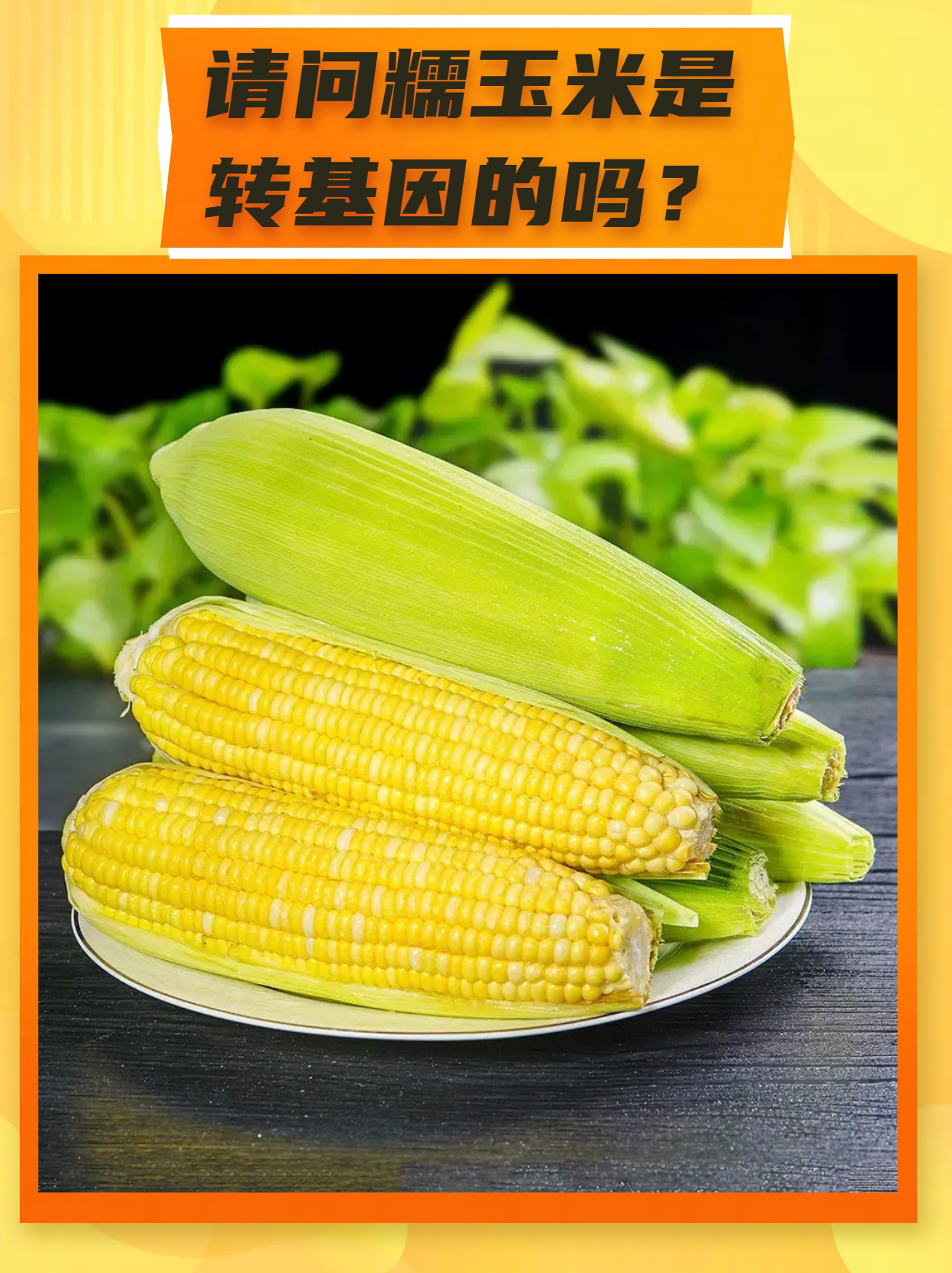 如何鉴别转基因玉米和非转基因玉米(如何鉴别转基因玉米和非转基因玉米的区别)