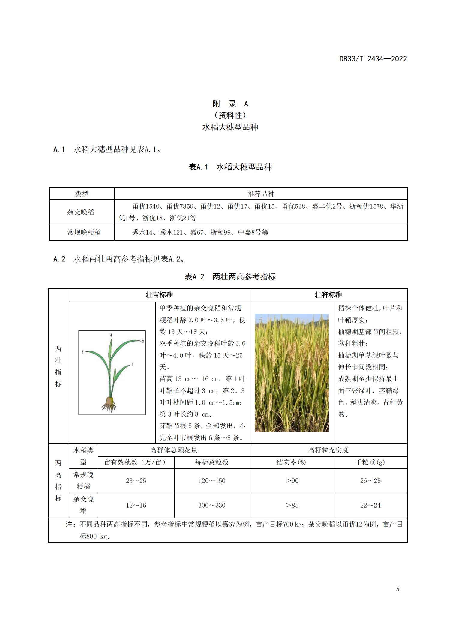 水稻高产施肥方法(水稻高产施肥方法有哪些)