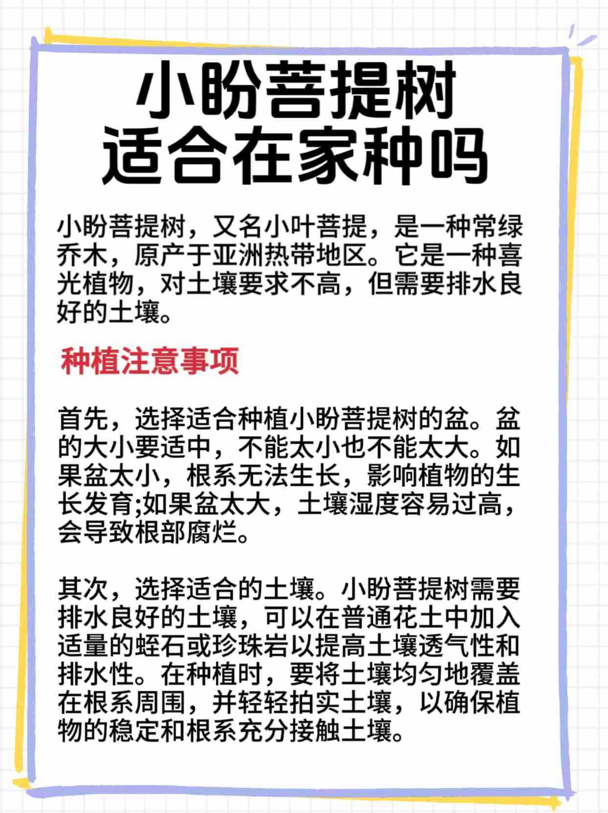 菩提树是怎么繁殖的(菩提树怎么种成活率高)