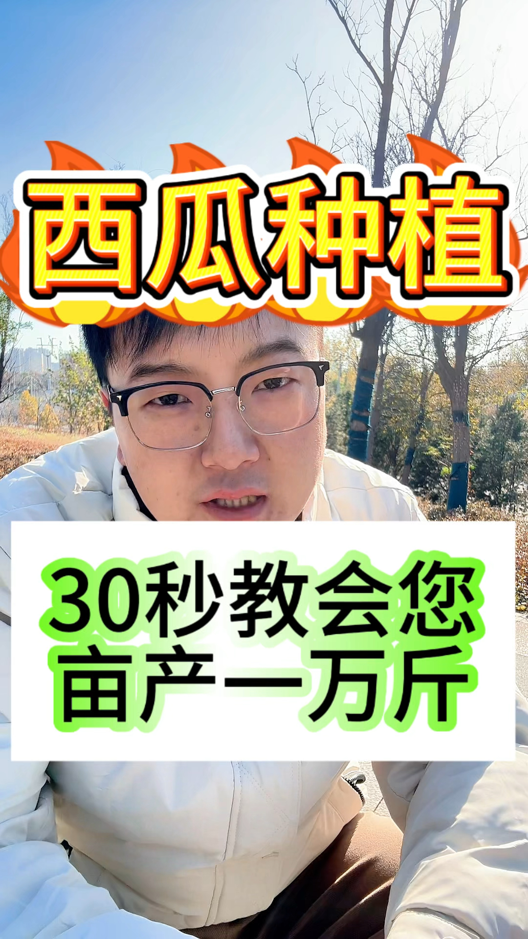 一亩地能种多少西瓜(一亩地能栽多少棵西瓜苗)