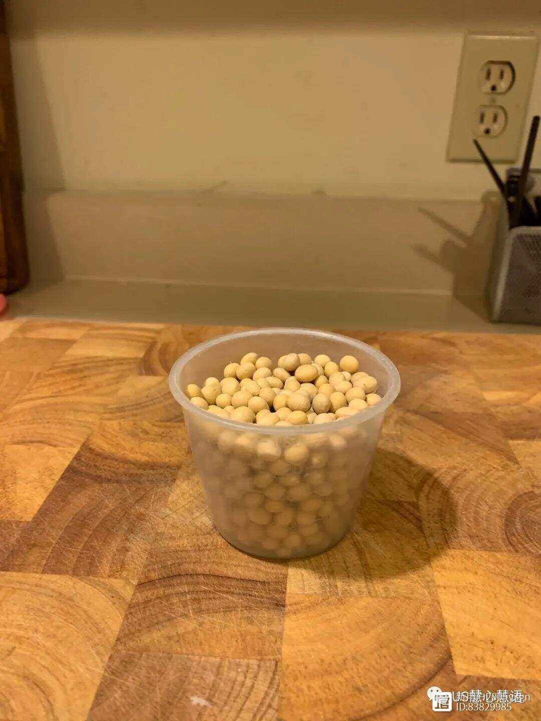 一次性杯子种黄豆(一次性纸杯黄豆有多少克)