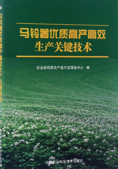 最新马铃薯高产栽培技术(最新马铃薯高产栽培技术要点)