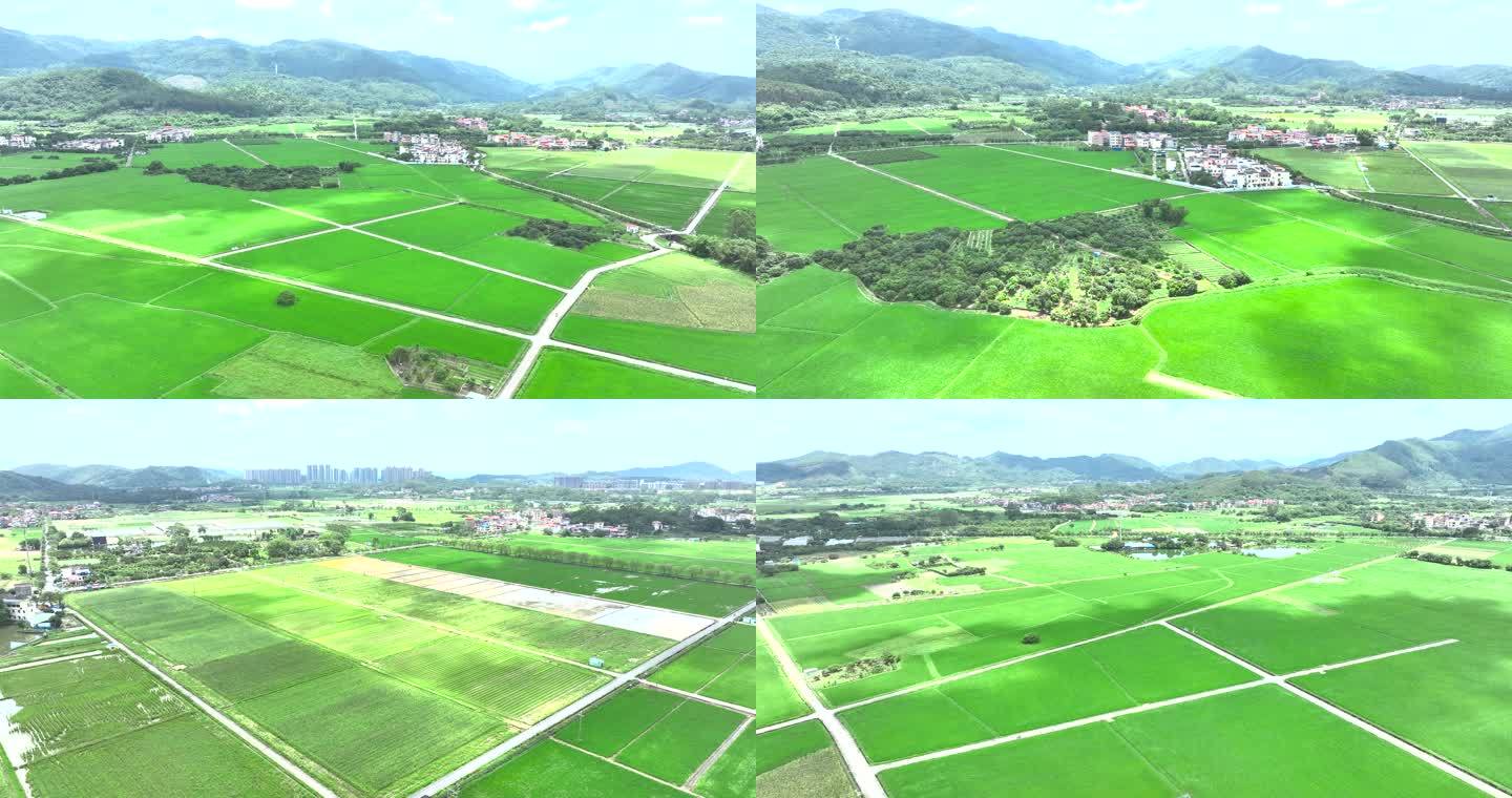 新农村建设视频(新农村建设鸟瞰图)