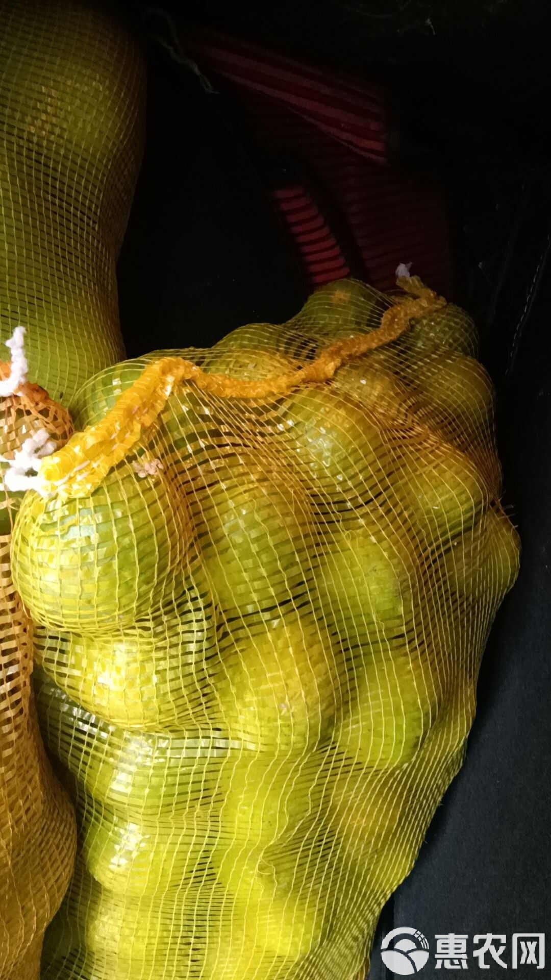 蛋黄果储存(蛋黄果保存时间)