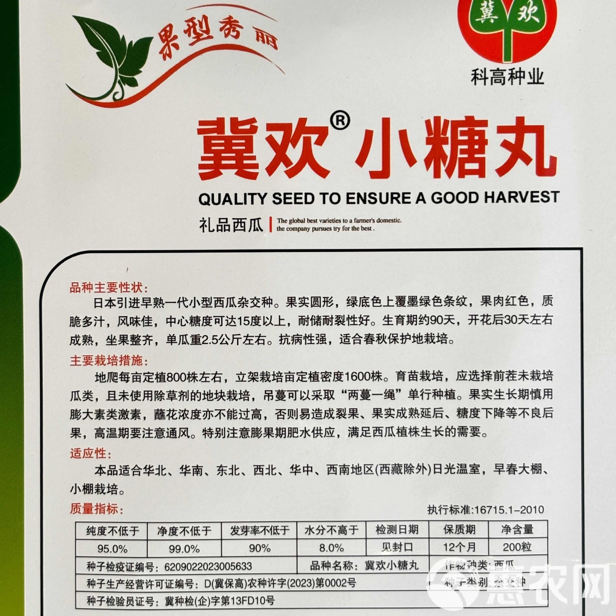 西瓜种子售价(西瓜种子价格是多少钱一斤)