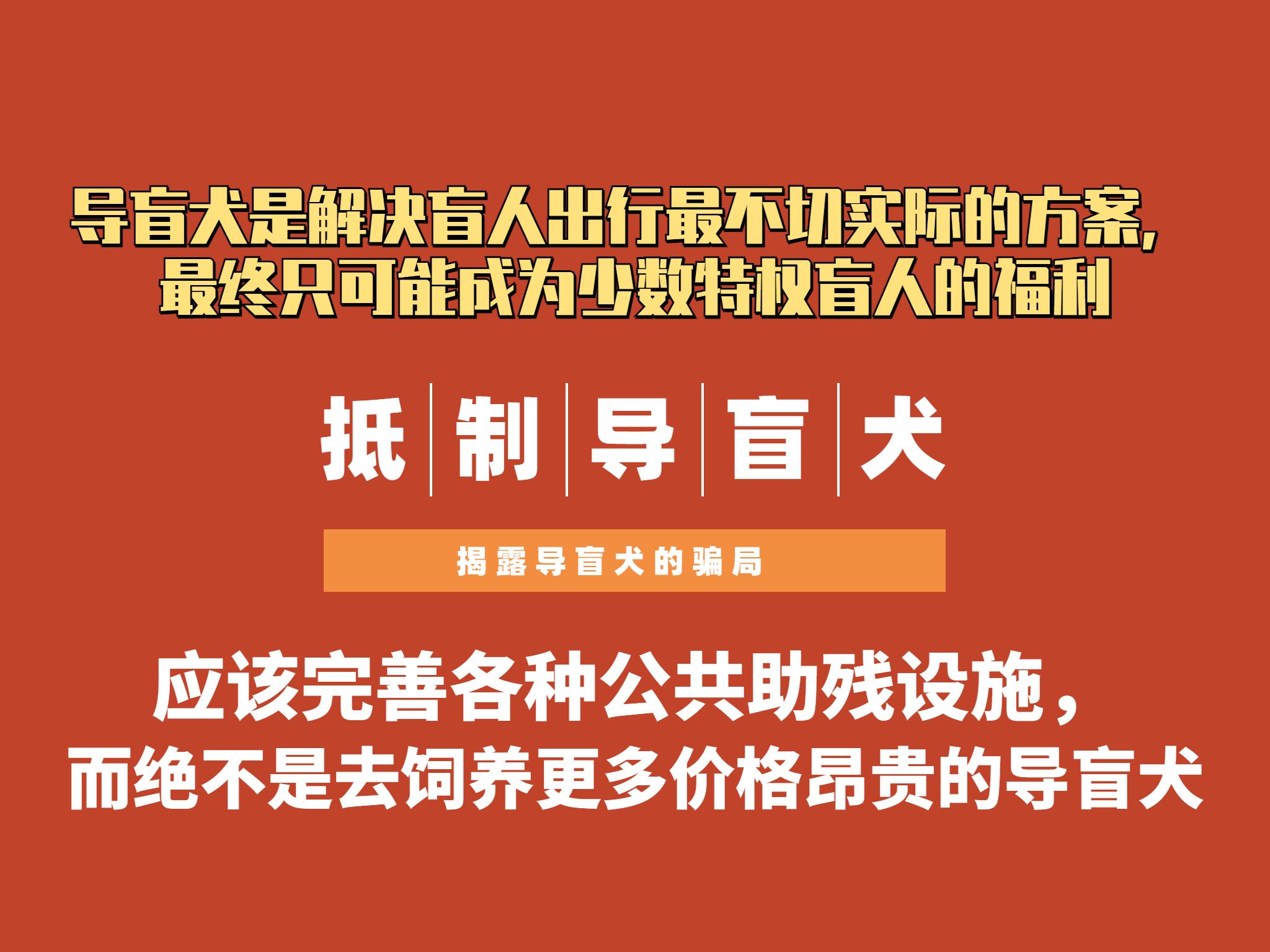 导盲犬法规(导盲犬 国家规定)