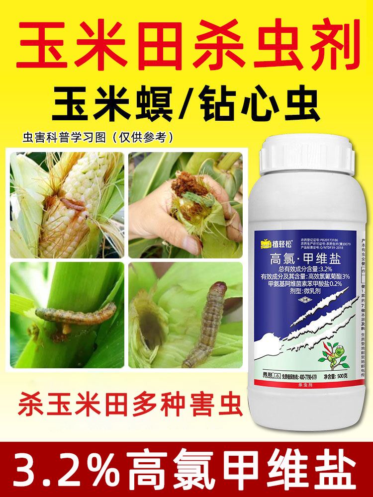 玉米播种打什么农药(种玉米打什么农药防虫好)