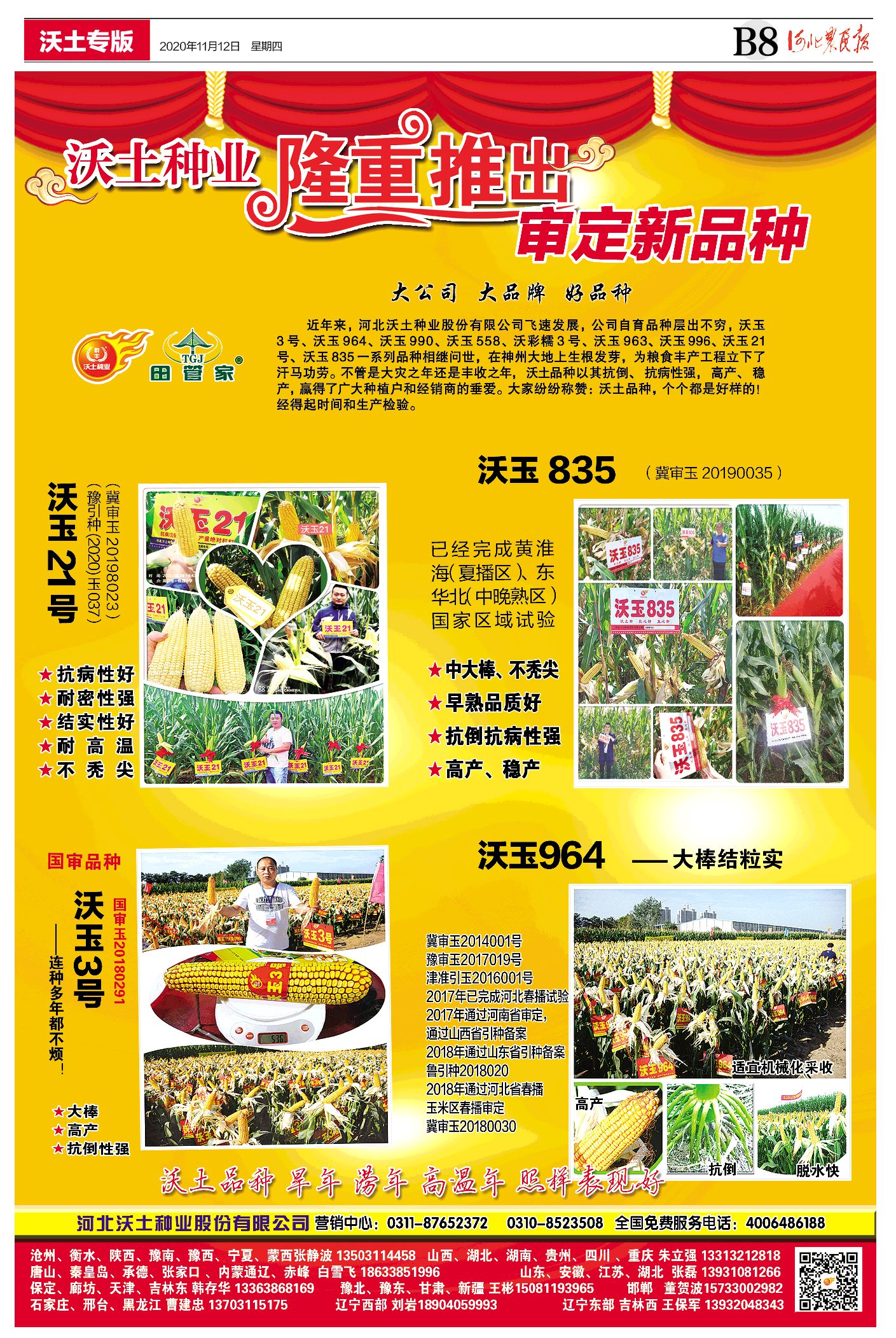 沃玉558玉米种简介及价格的简单介绍