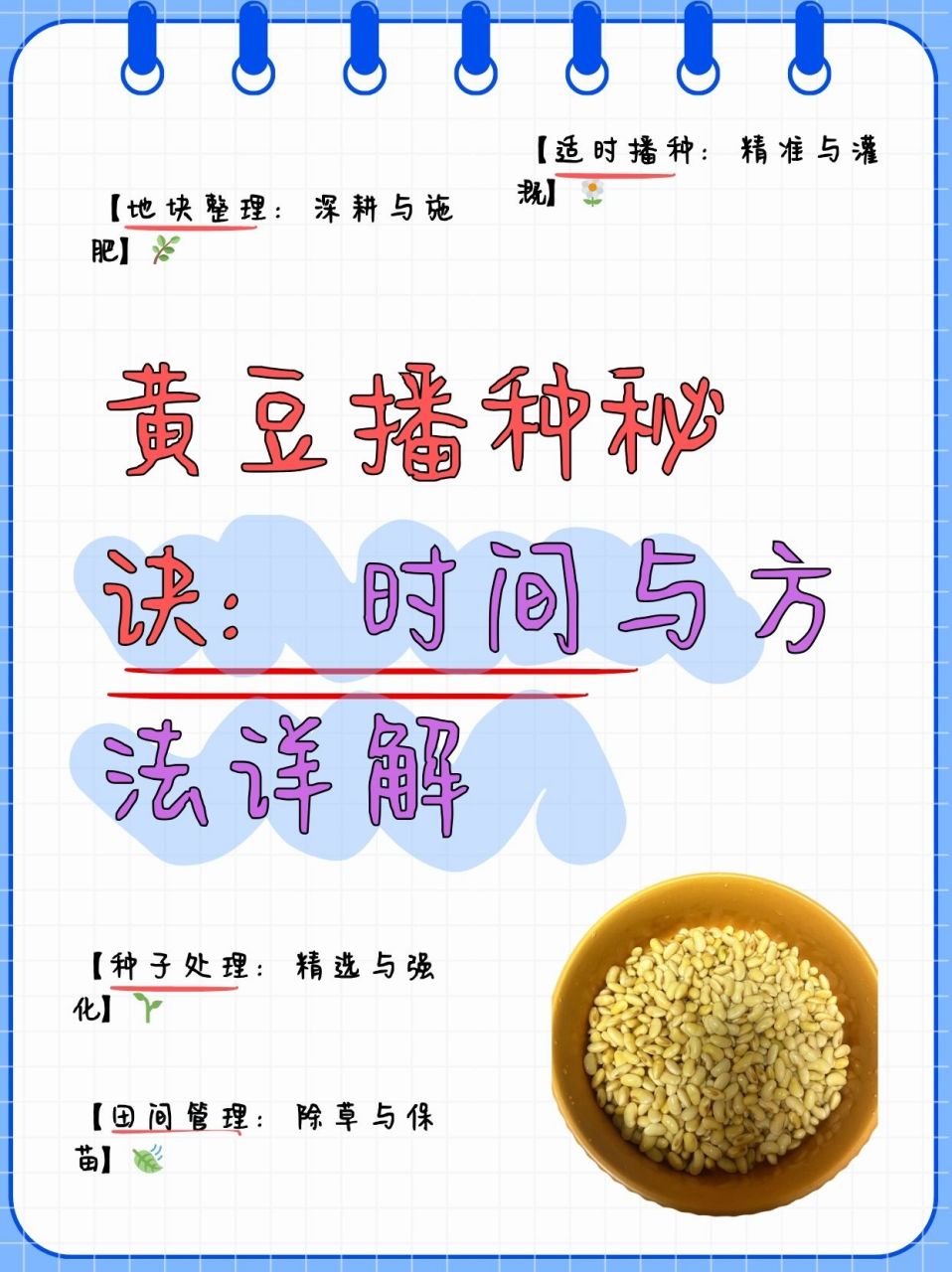 买的黄豆可以种吗(买的黄豆可以种吗图片)
