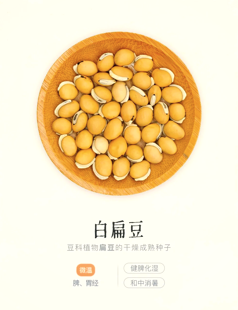 白扁豆种类(白扁豆的种类)