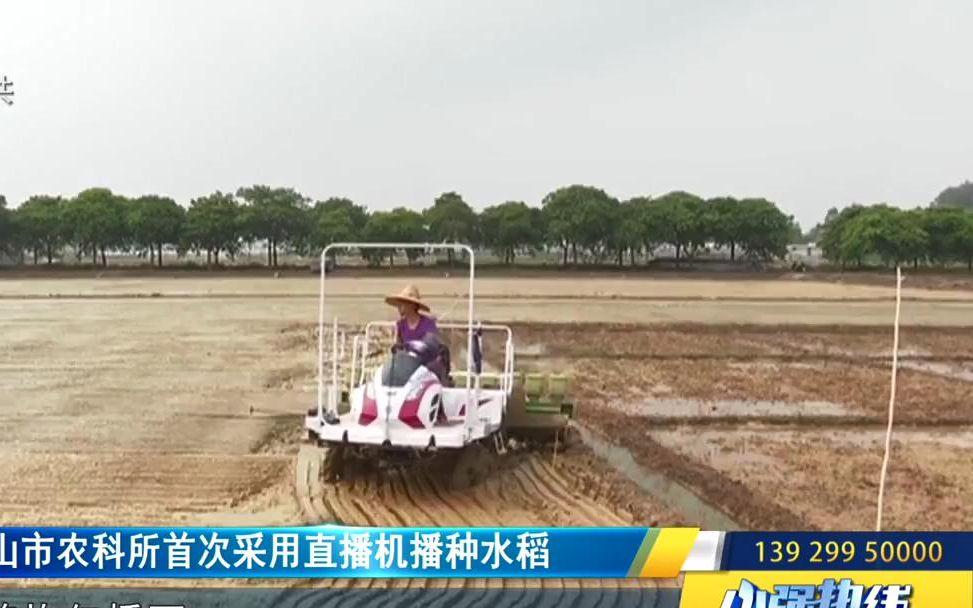 播种稻谷机(稻谷播种机多少钱一台)
