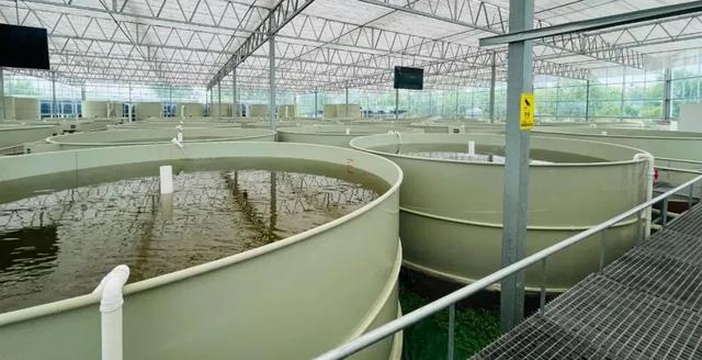 水循环水产养殖(水循环水产养殖国家补贴申请)