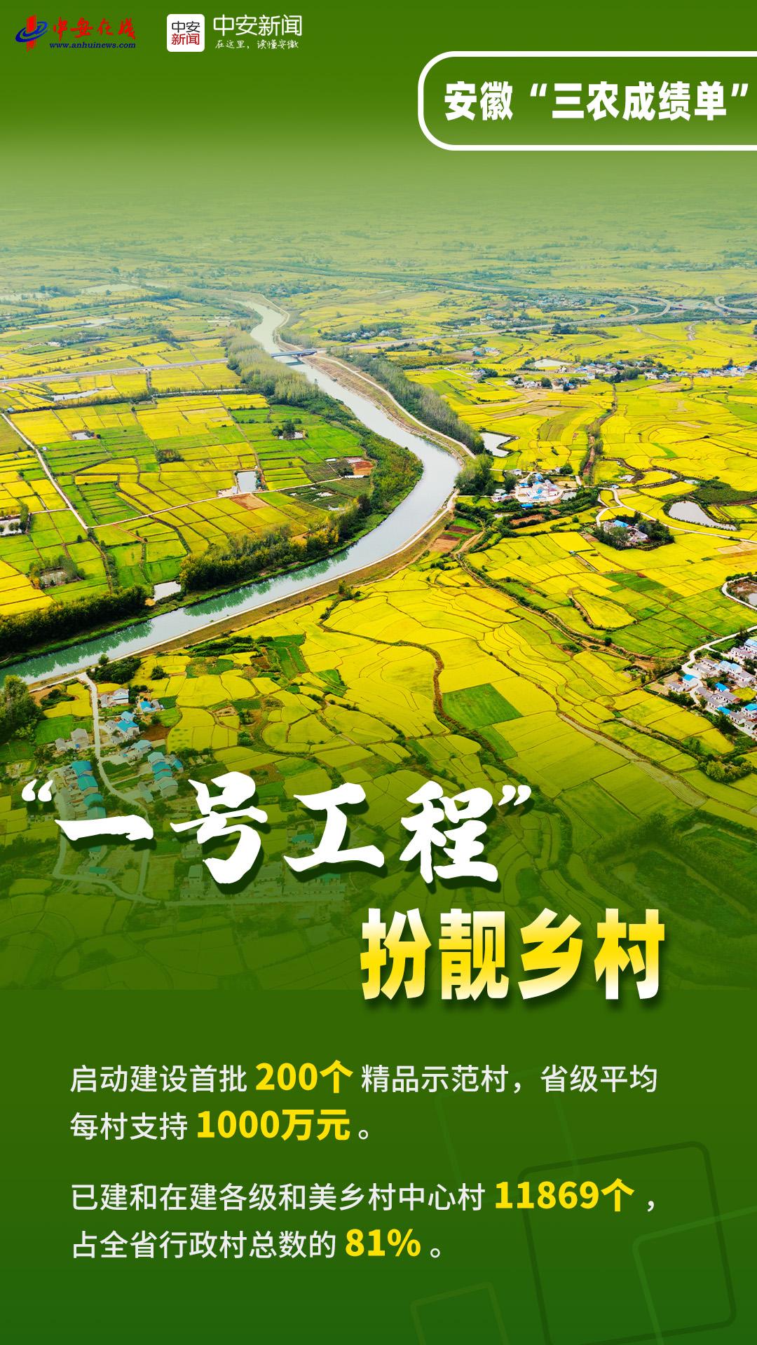 安徽蔬菜种植十强县(安徽省蔬菜生产十强县)