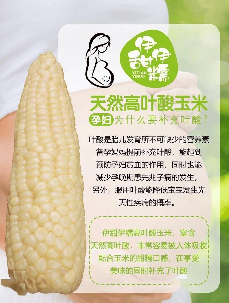 中国有转基因玉米种吗(中国的转基因玉米有哪些)