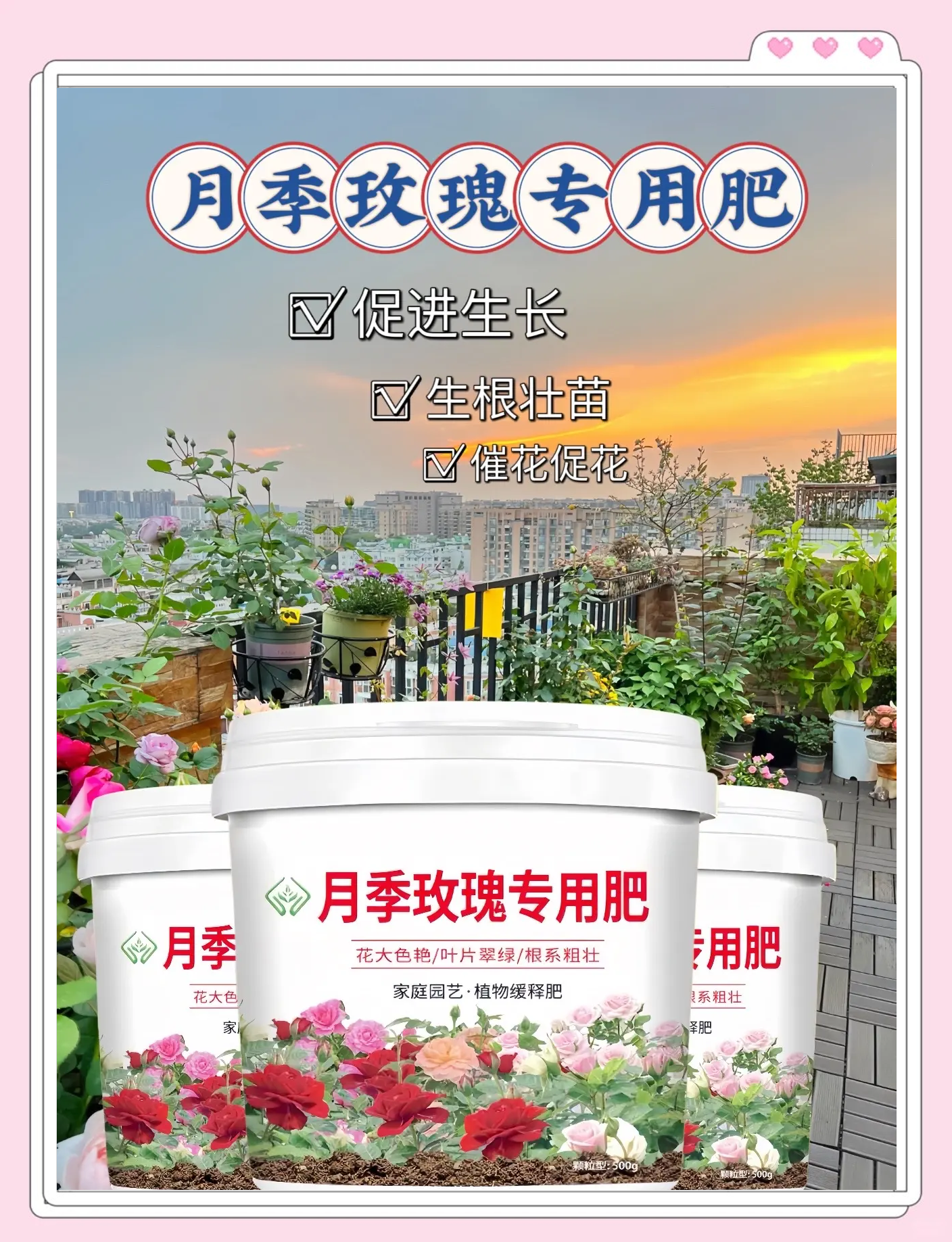 花怎么施肥(芍药花怎么施肥)