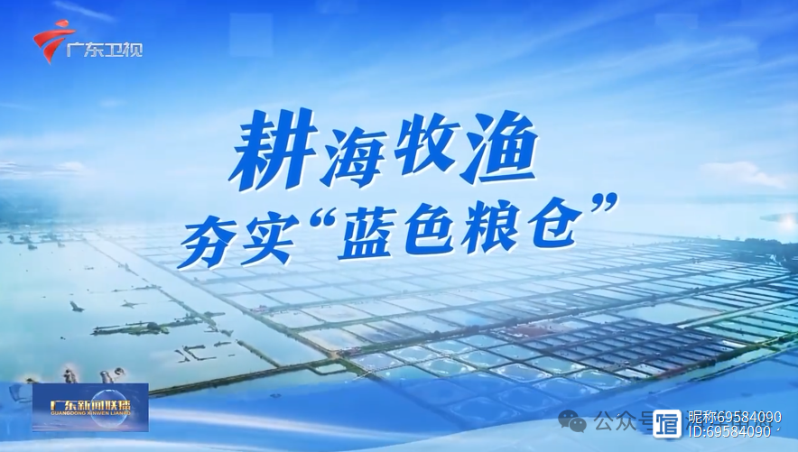 水产养殖业保险(渔业水产养殖政策保险)