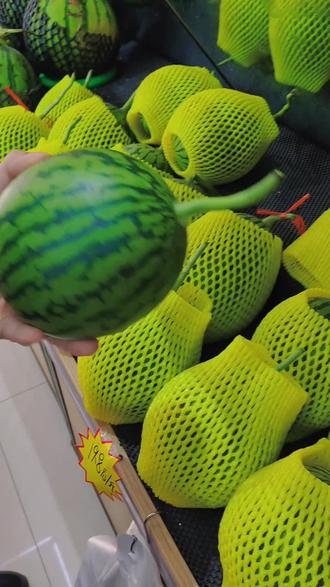 潍坊西瓜品种(潍坊哪里产西瓜)
