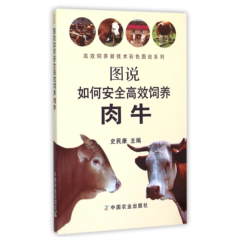 养牛饲养管理技术(养牛饲养管理技术视频)