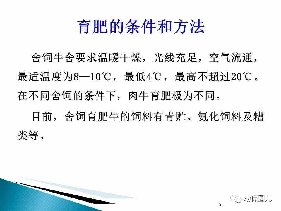 养牛饲养管理技术(养牛饲养管理技术视频)