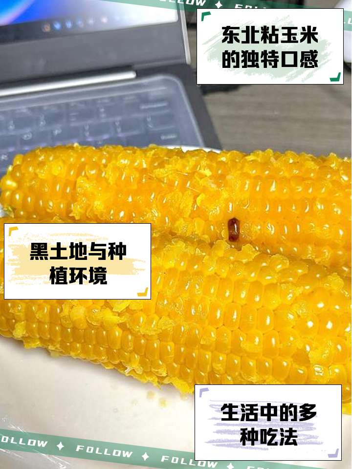 种植粘玉米有多大利润(种植黏玉米一亩地能挣多少钱)