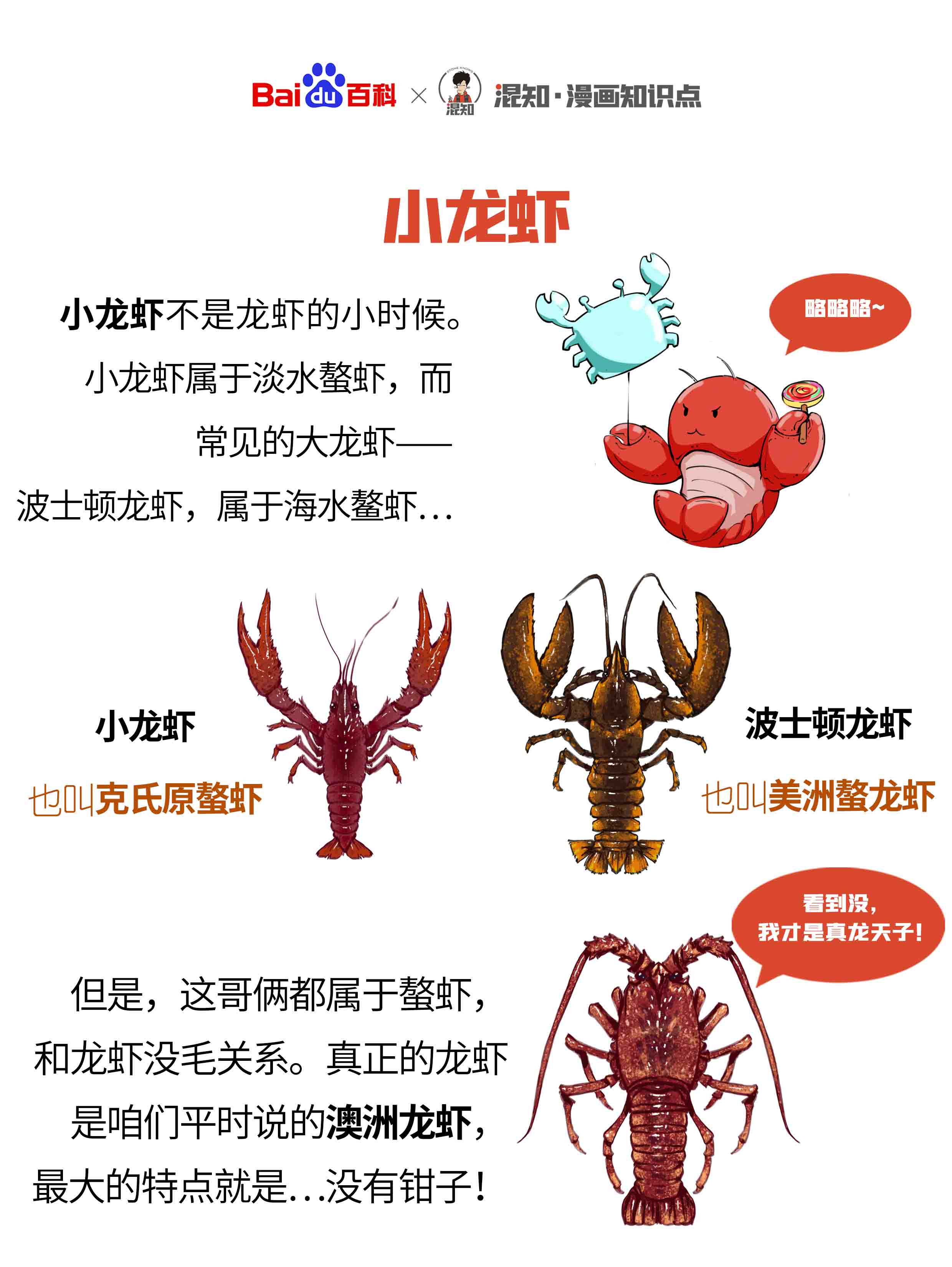 关于龙虾的养殖方法(关于龙虾的养殖方法和技术)