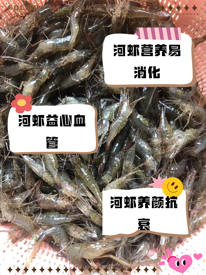 本地河虾养殖技术(河虾养殖效益怎么样)
