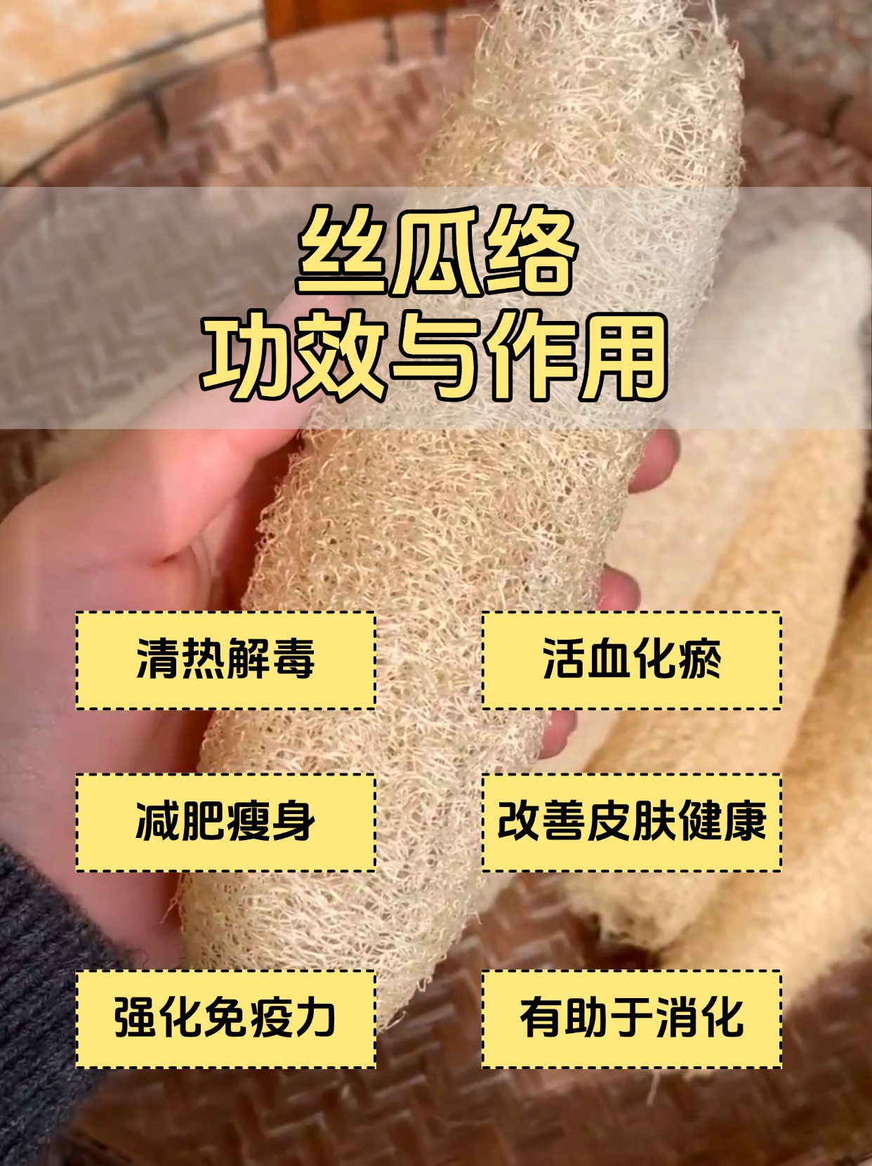 丝瓜嘌呤高不(丝瓜嘌呤高不高能吃)