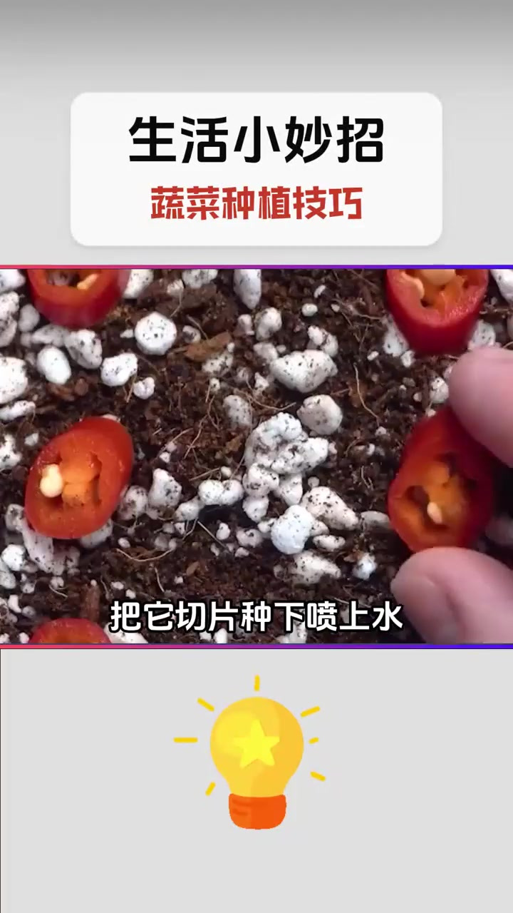 蔬菜栽培方法(蔬菜栽培方法有哪几种)